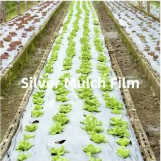 To stop grass growth, retain heat, and protect seedlings.
Avaible in 2 size: 1.80m x 300m AND 1.45m x 300m