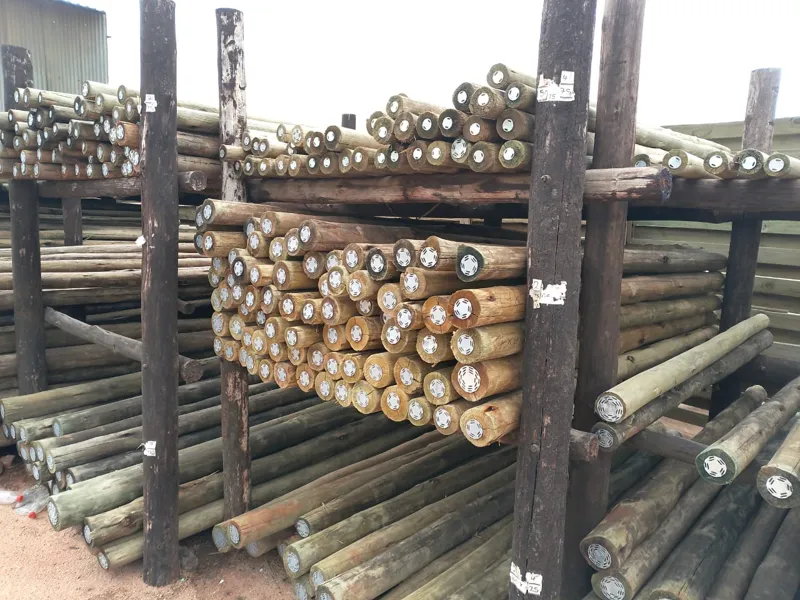 Eucalyptus Poles - H4 CCA treated
Avaible in 2 sizes